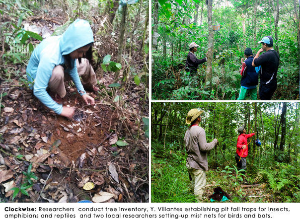  The Department of Environment  and Natural  Resources (DENR) tapped  Misamis University   to conduct Biodiversity Assessment and Monitoring  of Terrestrial Ecosystems ( BAMS)  in Mt. Malindang Range Natural Park.  