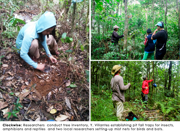 The Department of Environment and Natural Resources (DENR) tapped Misamis University to conduct Biodiversity Assessment and Monitoring of Terrestrial Ecosystems ( BAMS) in Mt. Malindang Range Natural Park.
