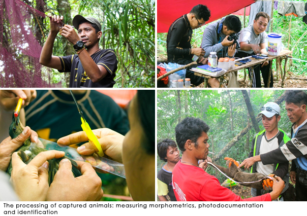 The Department of Environment and Natural Resources (DENR) tapped Misamis University to conduct Biodiversity Assessment and Monitoring of Terrestrial Ecosystems ( BAMS) in Mt. Malindang Range Natural Park.