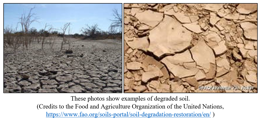 Sustainable Land Management Initiative Conducted by MU